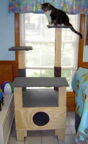 The cats loved the finish project.