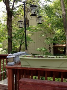 Squirrel=proof bird feeders and flower boxes