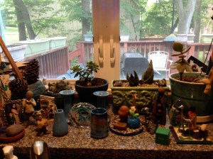 My kitchen window garden.