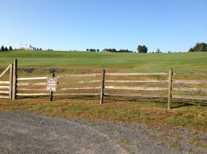 Looking up the hill from where the stage once stood. You can see the peace sign and the tent and a building belonging to BethEl Woods.
