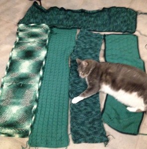 The pieces my Mom finished of my sons afghna. 